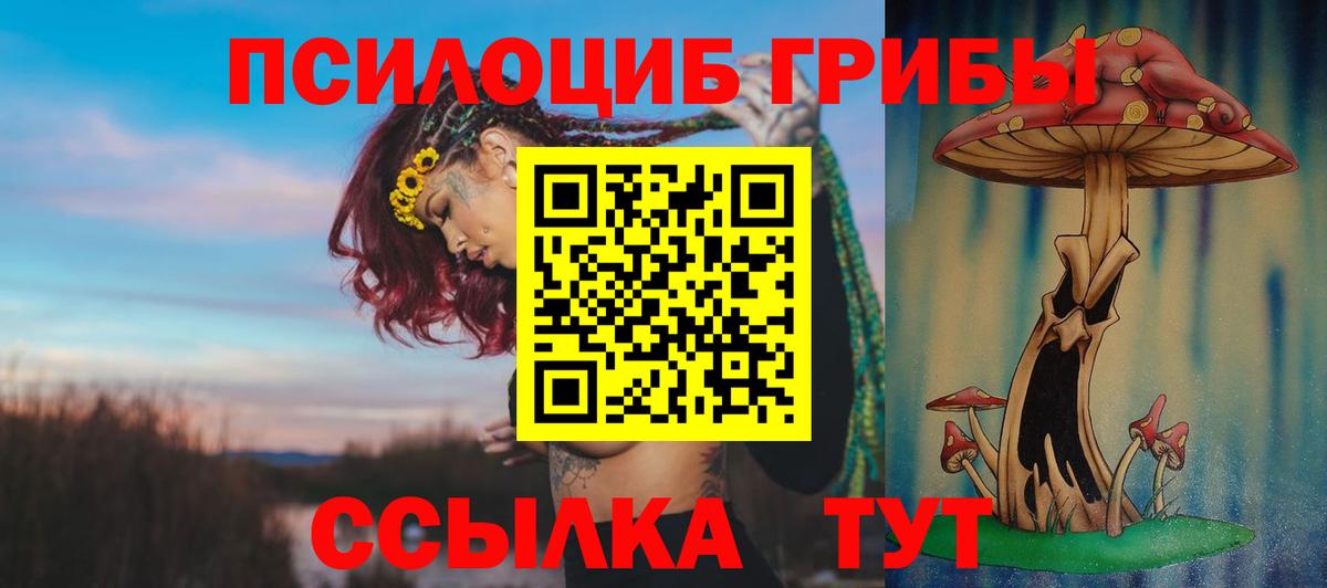 Галлюциногенные грибы Cubensis Кириши