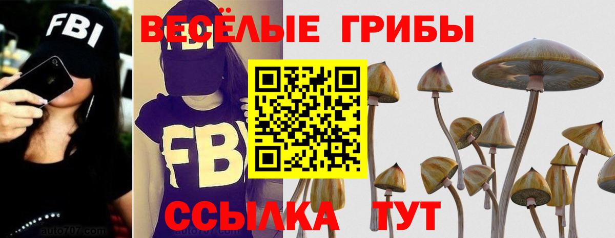 Кириши  Псилоцибиновые грибы мухоморы  Вход с VPN 
